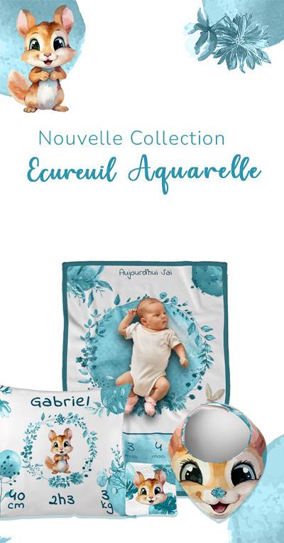 Collection Écureuil Aquarelle